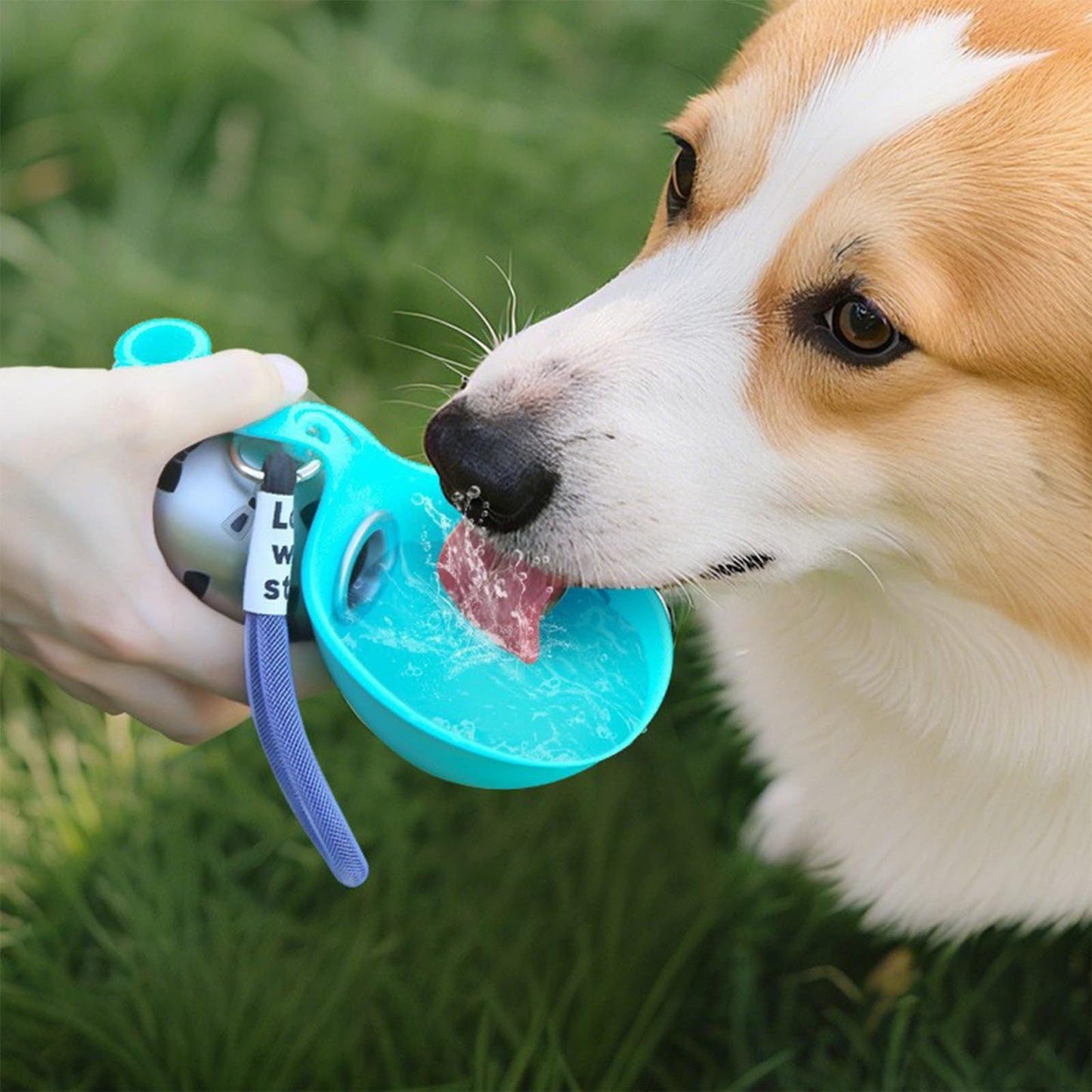 🔥50% Off — Final Week🔥2-in-1 Portable Dog Water Bottle