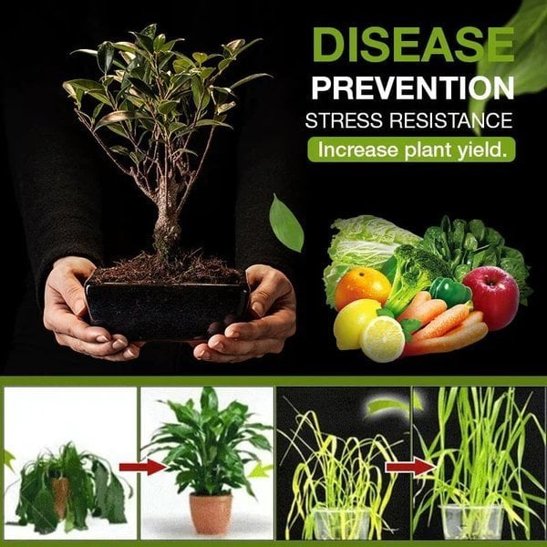 🔥Soil Revitalization Treasures - Create the Perfect Garden